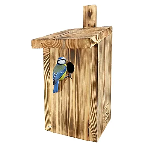 Leviatan IDEA HOME PARIDAE Nistkasten Meise Natur für Kohlmeisen 33 mm aus Massivholz I Verschraubt, Nistkästen für Vögel – Nistkasten Meisen, Meisenkasten, Vogelhaus Meisen Nistkästen, Wetterfest