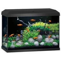 Aquarium JUWEL Primo 70 mit LED-Beleuchtung und Heizer
