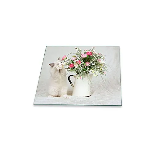 Herdabdeckplatte Abdeckung Ceranfeld Abdeckplatte Schneidebrett 1-Teilig 60x52 Katze Grau Spritzschutz Glasplatte Ceranfeldabdeckung Schutz für Kochplatten Herdschutz Sicherheitsglas Glasschneidebrett