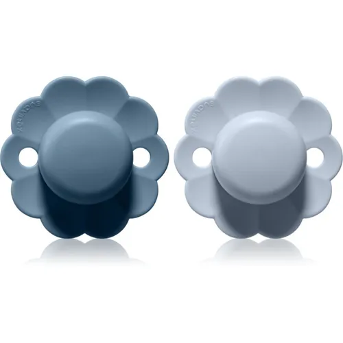 Suavinex Wonder SX Pro Physiological 0-6 m Schnuller Spring Lake+ Illusion Blue 2 St.