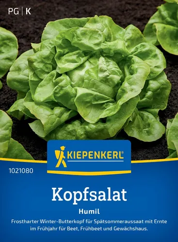 Kopfsalat Humil Frostharter Winter - Butterkopf ca. 150 Samen 1021080