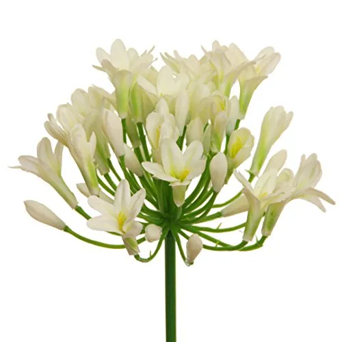 Kunstblumen AGAPANTHUS ca 75 cm. Liebesblumen, Schmucklilie. Creme -02