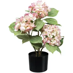 CREATIV green Künstliche Pflanze Hortensienbusch in rosa - Künstliche Pflanzen, täuschend echt aussehender Hortensienbusch mit traumhaften Blüten für farbenfrohe Akzente in jedem Raum.