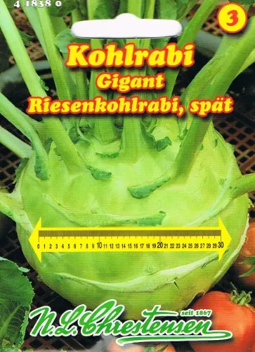 Kohlrabi Gigant (Portion)