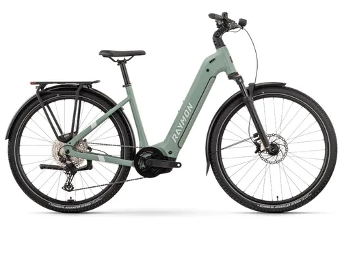 Raymon Tahona Pro Low E-Trekkingbike 29