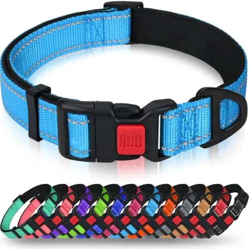 Taglory Hundehalsband, Weich Gepolstertes Neopren Nylon Hunde Halsband für Mittlere Hunde, Verstellbare und Reflektierend für das Training, Himmelblau