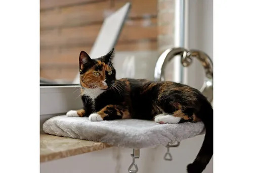 lionto Futternapf Fensterbankliege für Katzen von lionto