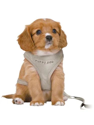 Trixie Halsbänder & Geschirre von Trixie