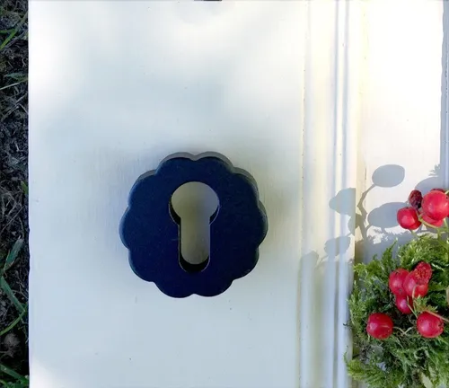 Sicherheits-Rosette Antik-Eisen PZ-Türbeschläge - Hochwertige Diebstahlschutz-Lösung aus robustem Antik-Eisen für erhöhte Sicherheit und stilvolles Design in Ihrem Zuhause.