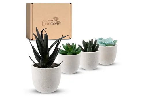 Kunstpflanze Künstliche Pflanzen im Topf Mini Set Dekoration Modern Wohnzimmer Sukkulente, Coradoma
