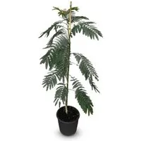 Produktbild Sunny-Tree Seidenbaum Albizia Julibrissin Ombrella 150 cm – Exotischer Zierbaum mit Zartrosa Blüten