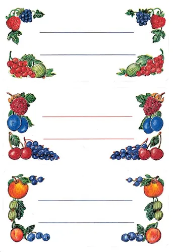 HERMA Haushalts Etiketten Beerenarrangements 76 x 35 mm - Praktische Etiketten für kreative Beschriftungen, ideal für die Organisation von Lebensmitteln oder Bastelprojekten, 4 Blatt mit je 3 Etiketten.