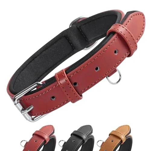 Grand Line Leder Hundehalsband, Lederhalsband Hund mit Weichem Gepolstertes, Breiter und Dicker Hundehalsband, Verstellbares Halsband Hunde für Kleine, Mittlere, Große Hunde (Rot, XS)