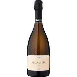 Giustino Bisol DOCG Superiore 2022 Ruggeri 0,75l - Prosecco mit feiner Perlage, fruchtigen Noten von Apfel und Pfirsich, sowie einer eleganten, harmonischen Finesse – ideal für festliche Anlässe.