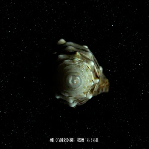 From The Shell [Vinyl LP]