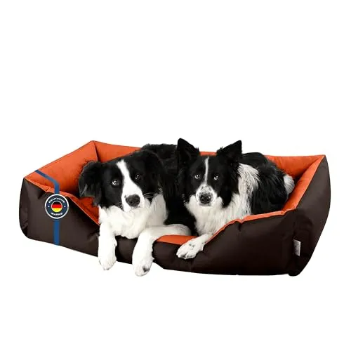 BedDog Hundebett XXL - Ergonomisches Hundekissen für Mittel-Große Hunde - Hochwertiges Hundebett aus strapazierfähigem Cordura und Microfaser-Velours, abnehmbarer Bezug waschbar bei 30°. Ideal für drinnen und draußen, unterstützt Gelenke und Nacken für erholsamen Schlaf.