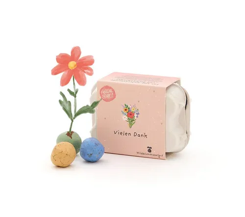 Die Stadtgärtner Blumensamen 6 Saatkugel mit Wildblumen-Saatgut im Mini-Eierkarton, Dankeschön, Hohe Keimrate, Verlängerte Blütezeit, Organisch