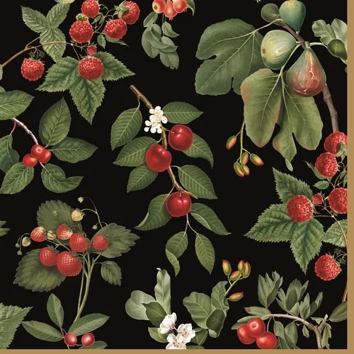 Servietten Orchard Rote Gartenfrüchte Beeren Garten Elegant Schwarz 33x33cm 20