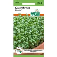 SAMEN PFANN Gartenkresse Kleinpackung