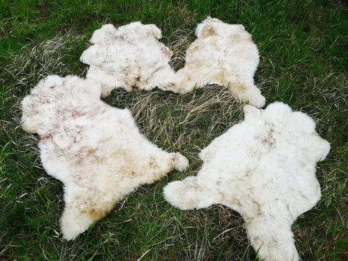 Provellus Fellteppich Geflammtes Öko Schaffell Lammfell Weich Naturfell Bis 140cm 2.Wahl, 30x30cm rund