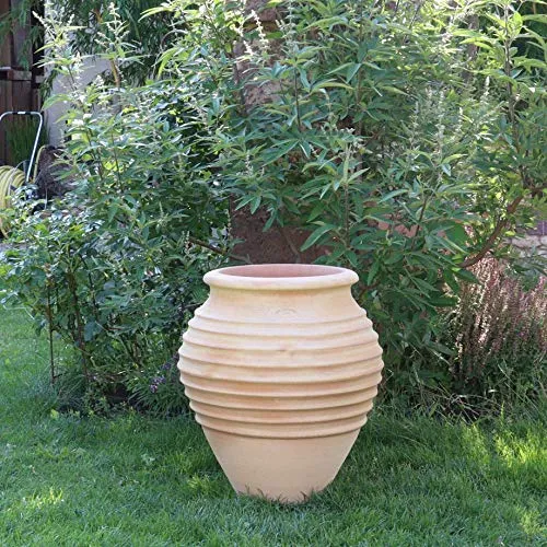 Palatina Werkstatt Exklusive Terracotta Amphore Ficus 60cm - 100% handgemachtes Unikat für Garten & Zuhause - Eine Zeitlose Schönheit aus Griechenland
