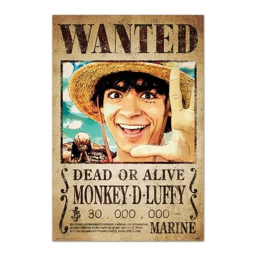 Poster ONE PIECE - Wanted Monkey D Luffy  (Manga/Anime) 61x91,5cm NEU 59912