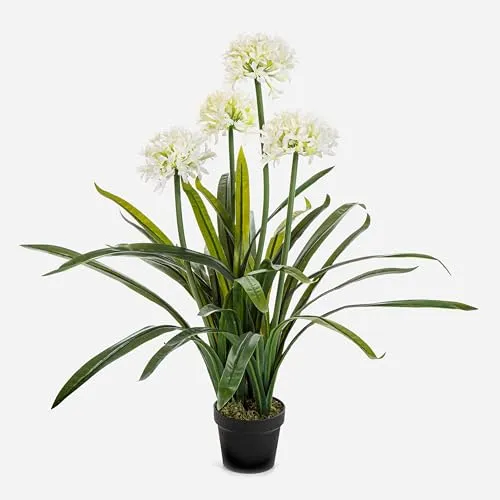 Kunstblume Agapanthus LESEDA im Dekotopf, 105 cm - Dekorative Kunstpflanze Agapanthus in elegantem Design, ideal für die Inneneinrichtung. Pflegeleicht und langlebig, bringt sie Frische in jeden Raum.