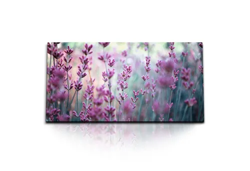 Sinus Art Leinwandbild Kunstdruck Bilder 120x60cm Rosa Lavendel Blumen Blüten Lavendelfeld, (1 St)