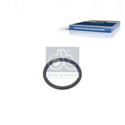 Dt Spare Parts Dichtring 1.24313