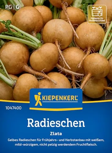 Kiepenkerl Radieschensamen Zlata 1047400 in gelb von Kiepenkerl