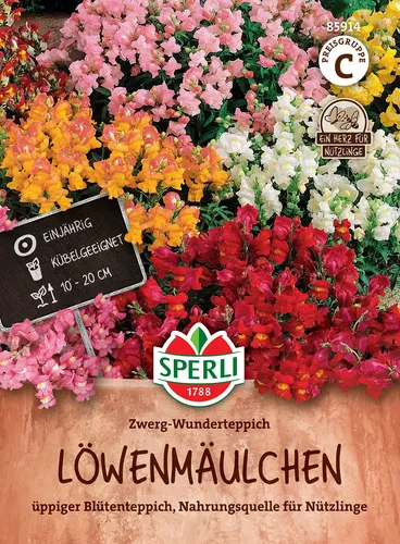 Mein schöner Garten DE SPERLI's Löwenmäulchen-Samen 'Zwerg-Wunderteppich', bunt EH002354-001