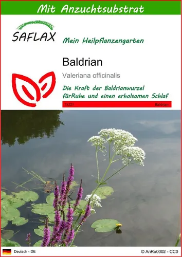 SAFLAX Blumensamen SAFLAX - Samen und Substrat - Baldrian