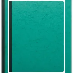 Exacompta 6410E Geschaeftsbuch 32x25 80S kariert paginie - Farben sortiert