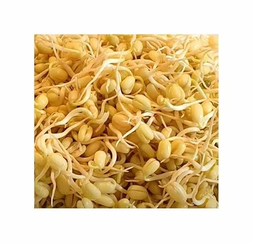 Keimsprossen (Bio) Mungo Garten Pflanzen - Samen F-S674 - Seeds & Plants Shop by Ipsa 75 g