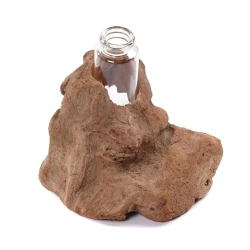 CREEDWOOD REAGENZGLAS VASE Yuma | Treibholz, 13x11cm (HxB) | Holz Blumen Vase, Treibholz mit Glasvase, Wurzelholz, Dekovase, Tischdeko