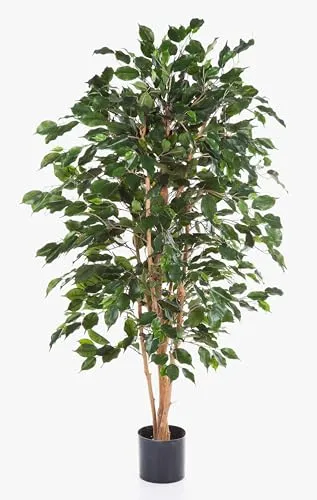 Künstlicher Ficus Exotica 120 cm - Kunstbaum für jedes Zuhause - Attraktive künstliche Zimmerpflanze mit 495 Blättern und natürlichem Aussehen. Ideal für Wohnzimmer, Büro oder Flur. Lieferung im stabilen Zementtopf für einfache Integration.
