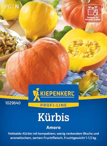 Kiepenkerl Profi-Line Kürbissamen Amoro 1029640 – kompakt - wenig rankend - aromatisch - zartes Fruchtfleisch - Samen Gemüse, Saatgut, Gemüsepflanzen