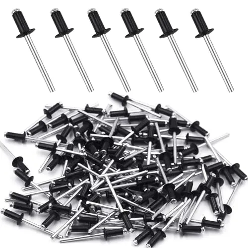 Blindnieten Alu Nieten Popnieten Set 4.8 mm x 12 mm Blindnieten Sortiment Großkopf Schwarz Pop Nieten 100 Stück Niete Anthrazit Dome Niet für Rivet Tool Blindnietzangen (4.8mm x 12mm)