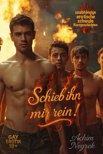 Schieb ihn mir rein !: erotische Kurzgeschichten (schwul 18+)