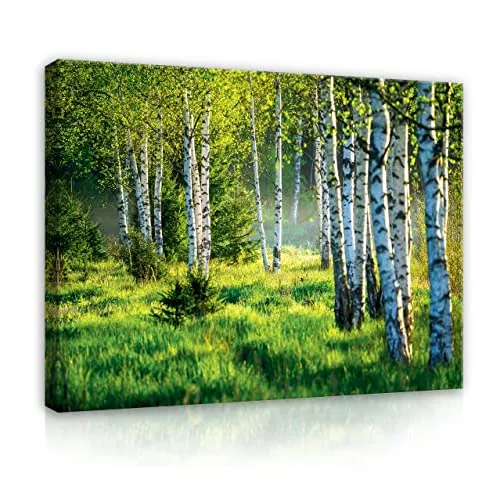 Poster & Bildende Kunst Grün von Wallarena