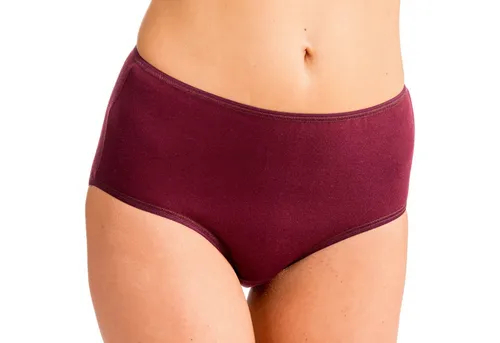 HERMKO Taillenslip 1150 (Pack, 4er) Maxi-Slip, Basic, 100 % Bio-Baumwolle, elast. Abschluss, Feinripp