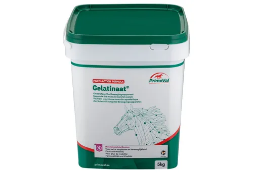 PrimeVal Gelatinaat für Pferde - Muskelkondition & kräftige Knochen - Ergänzungsfutter für Pferde, 5 kg - Unterstützt Bewegungsapparat, Nervensystem und Immunsystem, ideal für Turnierpferde, fördert gesunde Gelenke und kräftige Knochen.