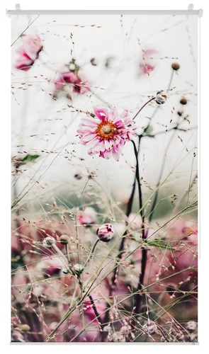 Lichtblick Rollo ohne Bohren, Blickdicht, Rosa