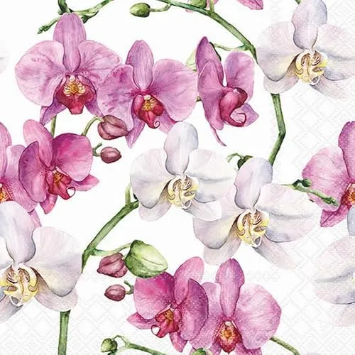 Servietten Blumen Elegante Orchideen als Tischdeko. Papierservietten mit Motiv. Auch für Decoupage und Serviettentechnik 33x33cm 20