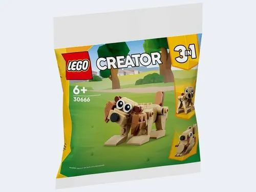 LEGO Geschenkset mit Tieren - 30666 - LEGO (R) Komplette Sets & Packs, kreatives Bauset mit Tieren für Kinder ab 3 Jahren, fördert die Fantasie und motorischen Fähigkeiten.