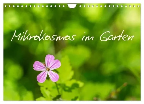 Fotosvonlucke Mikrokosmos im Garten Wandkalender 2026 - Entdecken Sie faszinierende Strukturen in der Natur mit diesem hochwertigen DIN A4 Wandkalender. Ideal für Kunst- und Fotoliebhaber, bietet er 14 beeindruckende Motive.