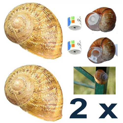 tlg. Geocaching Versteck Weinbergschnecke Schnecke magnetisch Micro Wald Tube 4