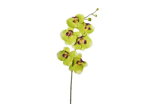 Kunstorchidee Kunstblume Phalaenopsis, künstlicher Orchideen-Zweig 76cm, Gasper, Höhe 76.00 cm