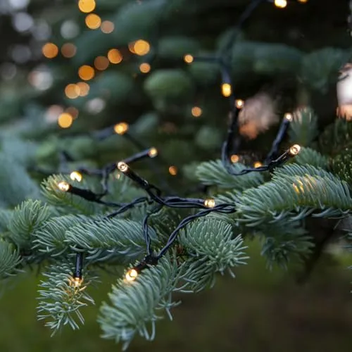 LED Lichterkette Durawise - 192 warmweiße LEDs - 14,3m mit Timer - Weihnachtsbeleuchtung mit 192 warmweißen LEDs und 8 Funktionen. Diese batteriebetriebene Lichterkette bietet bis zu 60 Tage Licht mit Timer für gemütliche Stimmung überall.