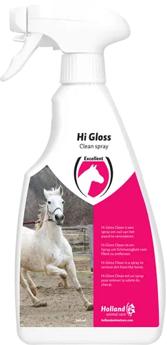 Hi Gloss Clean Spray, 500 ml Flasche